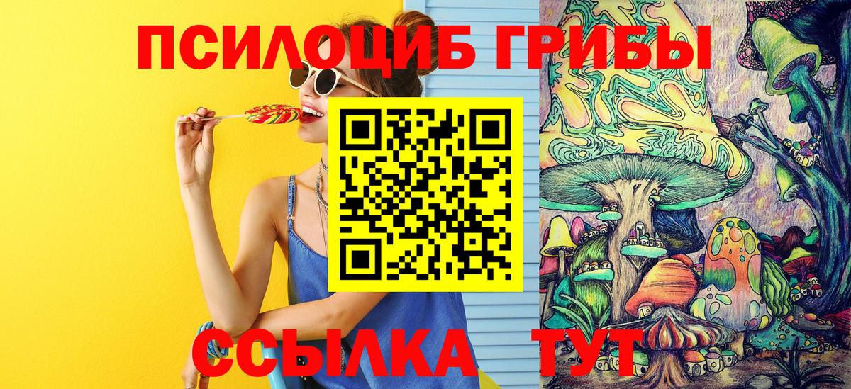 Красноуфимск  Галлюциногенные грибы MAGIC MUSHROOMS  что такое   Вход с VPN 