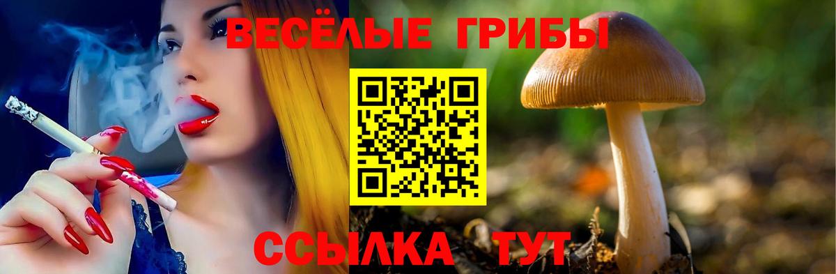 Галлюциногенные грибы Cubensis Красноуфимск